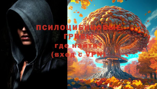 стафф Аркадак