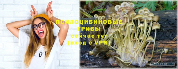 прущие грибы Алзамай