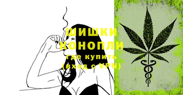 стафф Аркадак