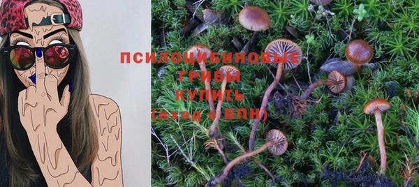 стафф Аркадак