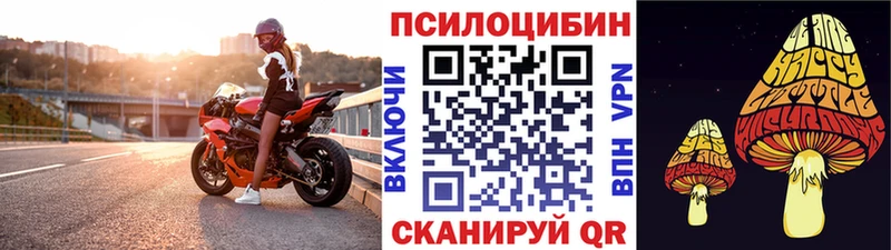 Псилоцибиновые грибы MAGIC MUSHROOMS  Чайковский 